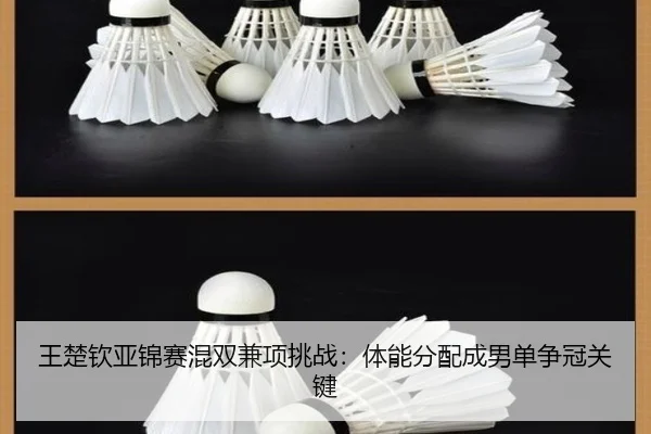 wang-chu-qin-ya-jin-sai-hun-shuang-jian-xiang-tiao-zhan-ti-neng-fen-pei-cheng-nan-dan-zheng-guan-guan-jian-3-420.jpg