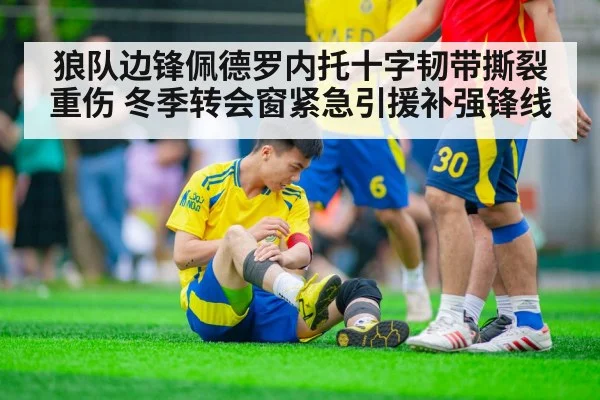 狼队边锋佩德罗内托十字韧带撕裂重伤 冬季转会窗紧急引援补强锋线